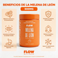 MELENA DE LEÓN FLOW